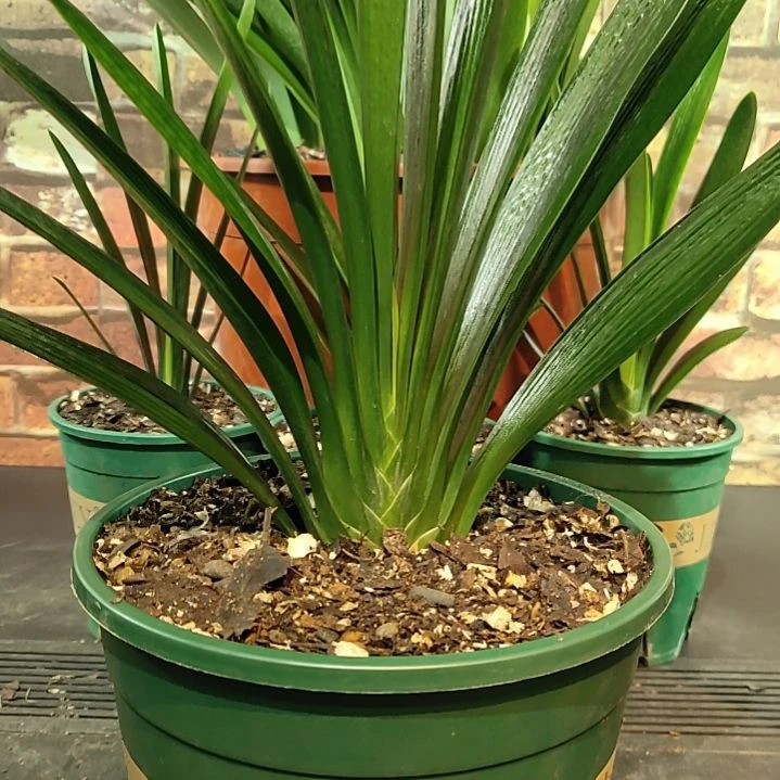 完全开放111111111