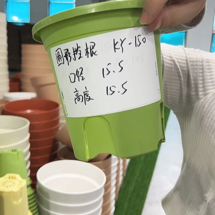 正品圆控口15高15果绿无托10只