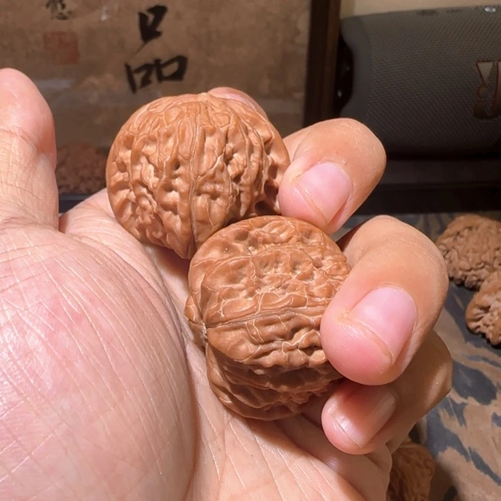 云****郑39太行山正磨盘油蜡皮质全品无修（毕业）