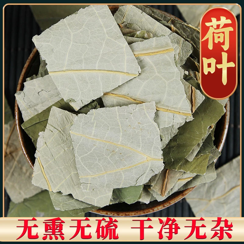 【荷叶】荷叶精选 甄选