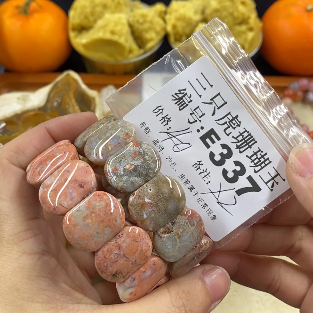 硅化珊瑚（珊瑚玉）1未镶嵌乌****子