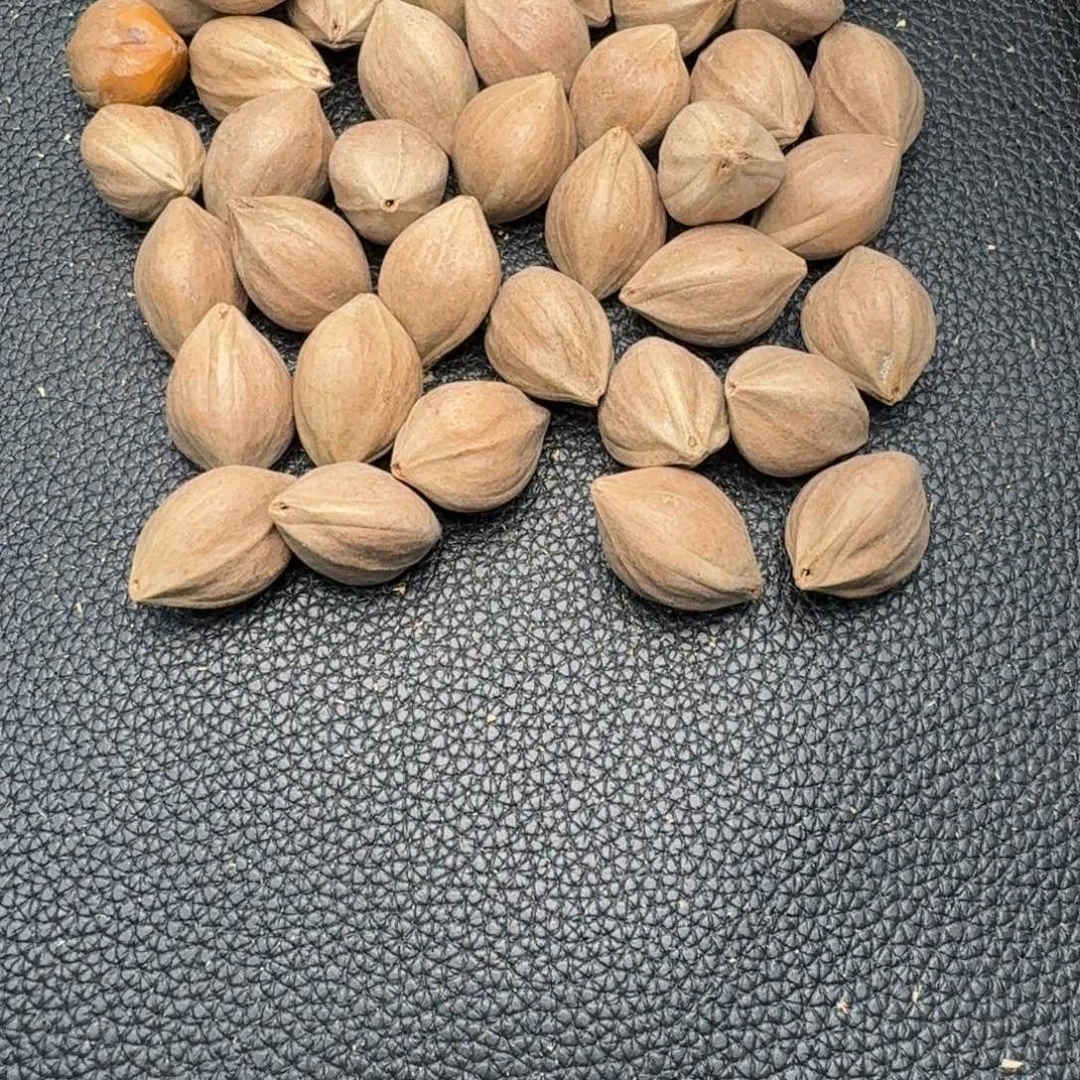 名***️手串/手链橄榄核1