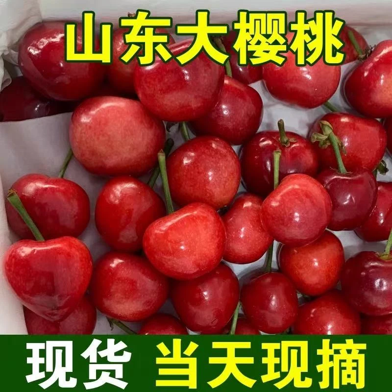 先锋樱桃2斤