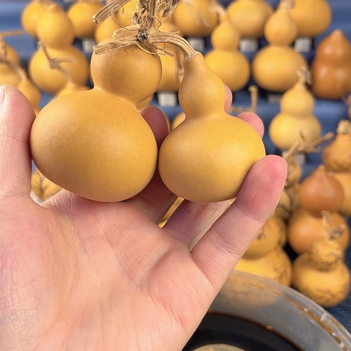 葫芦一物一拍所见即所得，