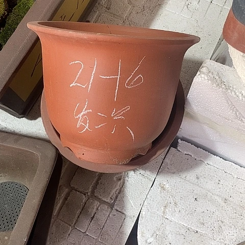 紫砂中国宜兴紫砂花盆，