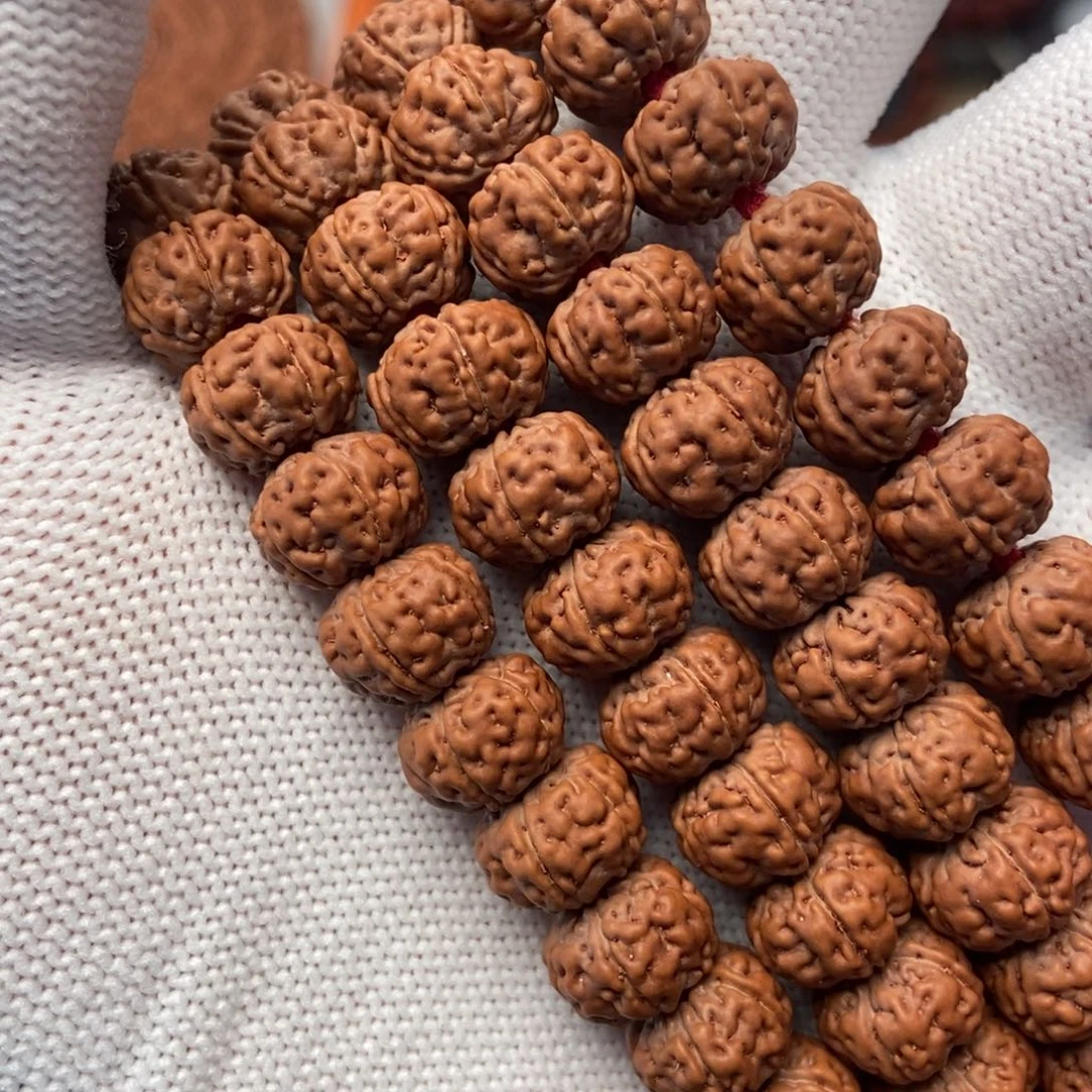 金刚菩提手串豆****熟纯血老树王10