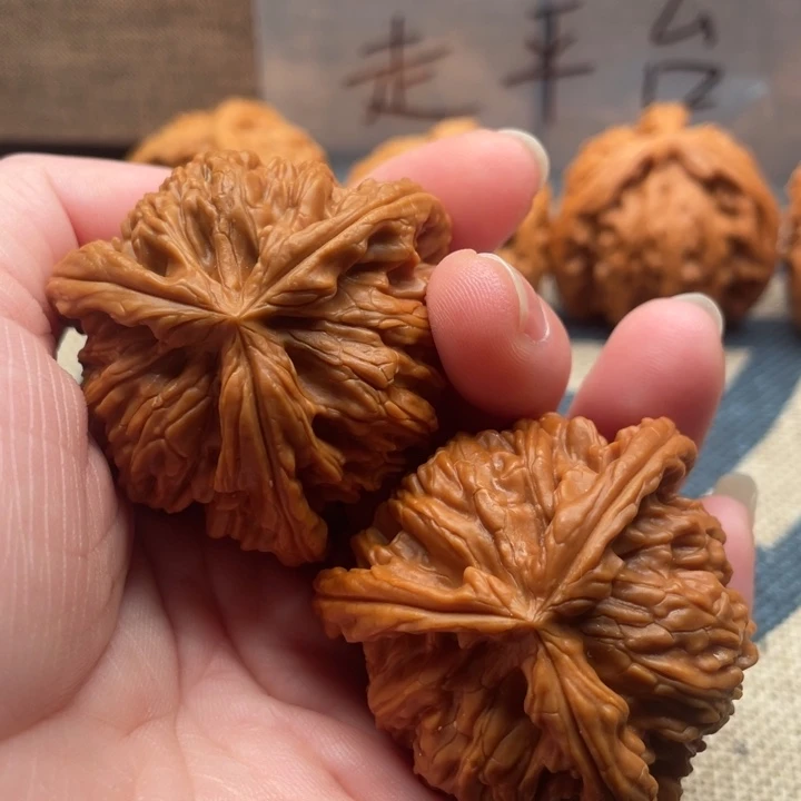 轮***生核桃白狮子43核桃