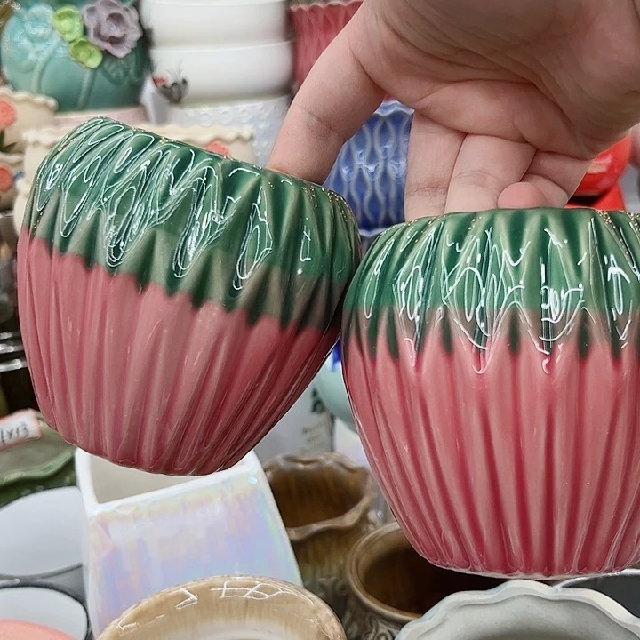 多肉植物陶瓷花瓶