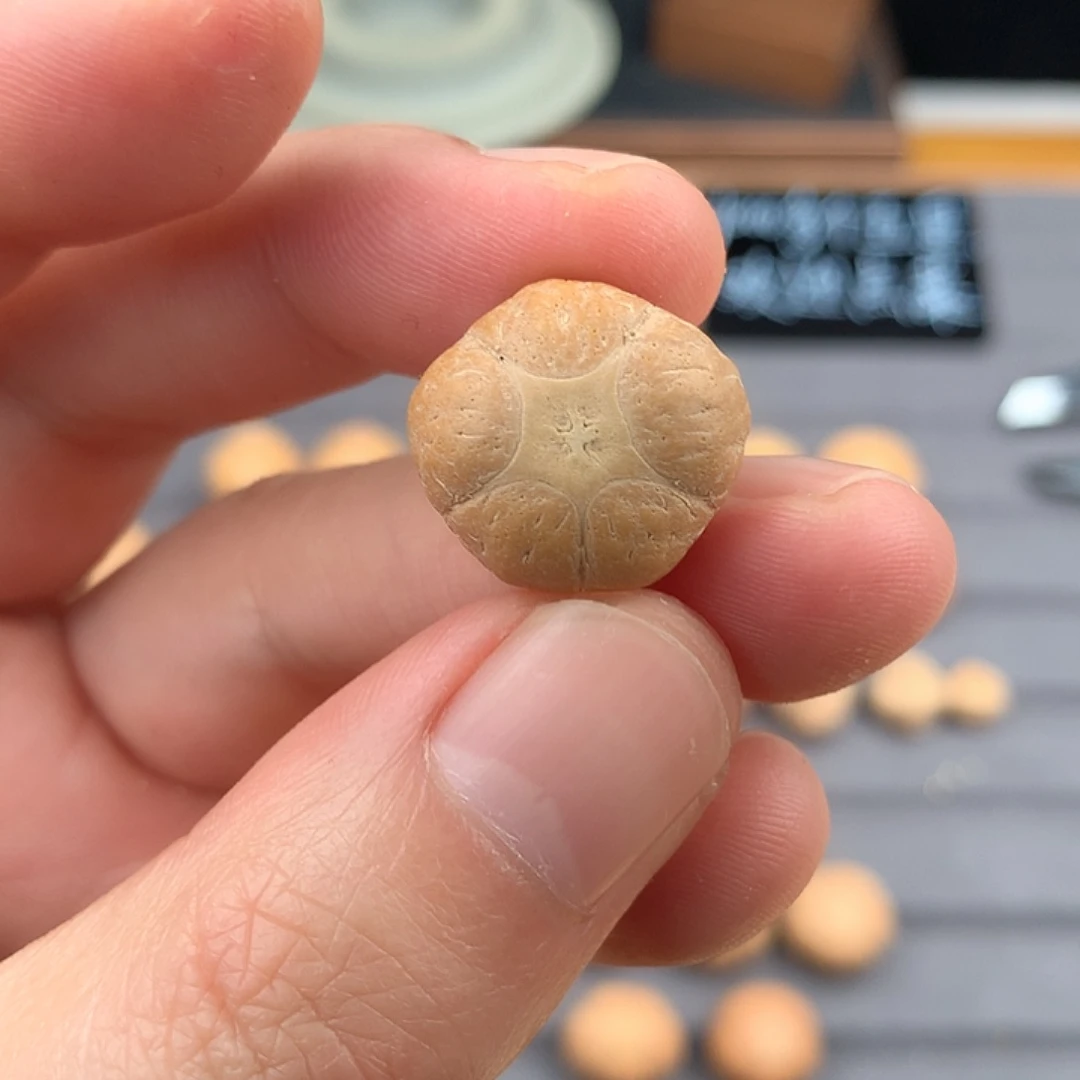 吊坠凤眼菩提19+五星，非质量问题开孔不退