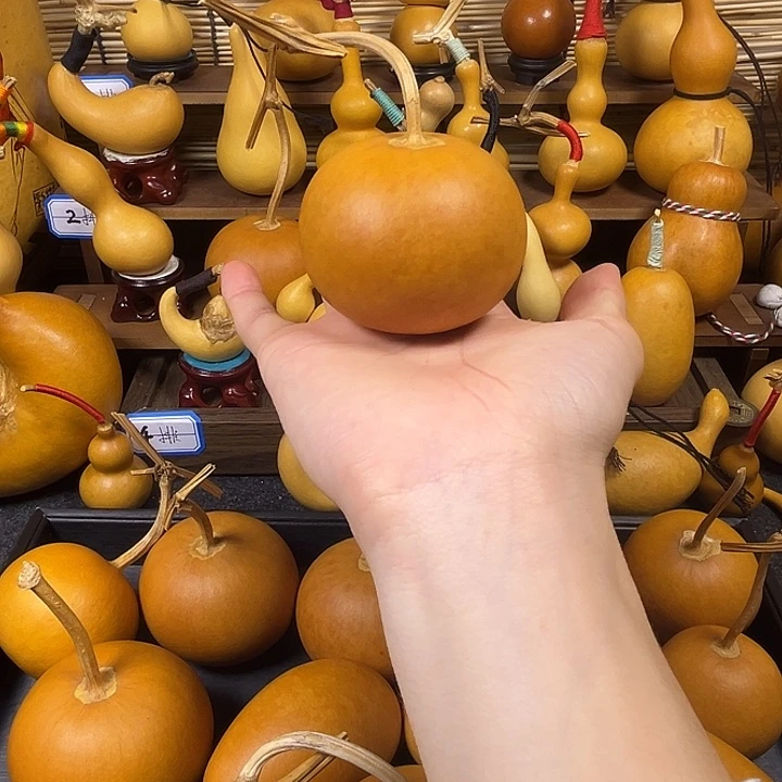 小苹果小苹果小苹果