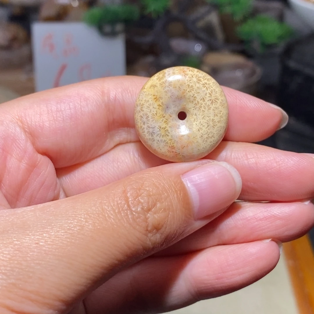 【闪购商品】硅化玉珊瑚玉未镶嵌