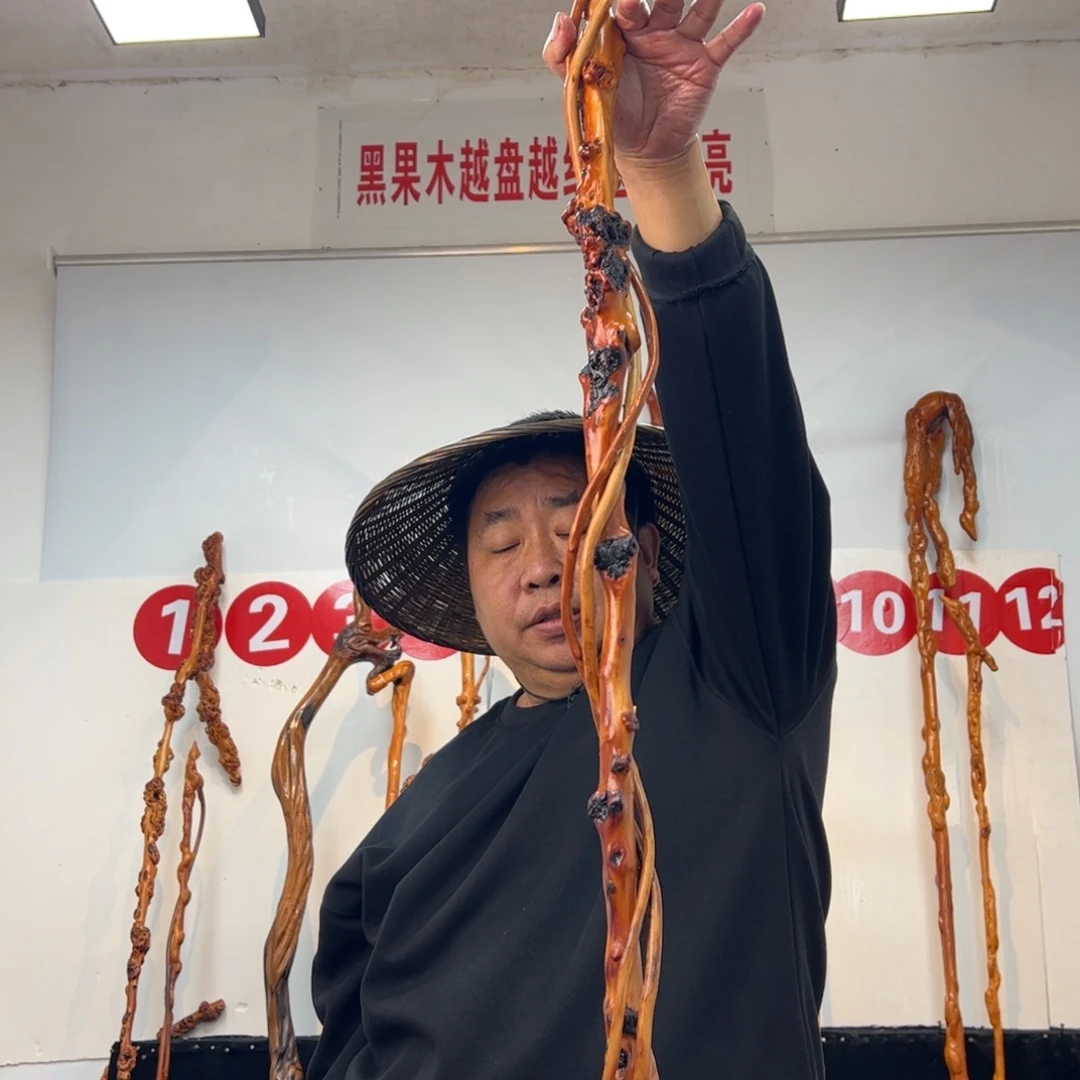 鑫***雅黑果木其他黑果木984