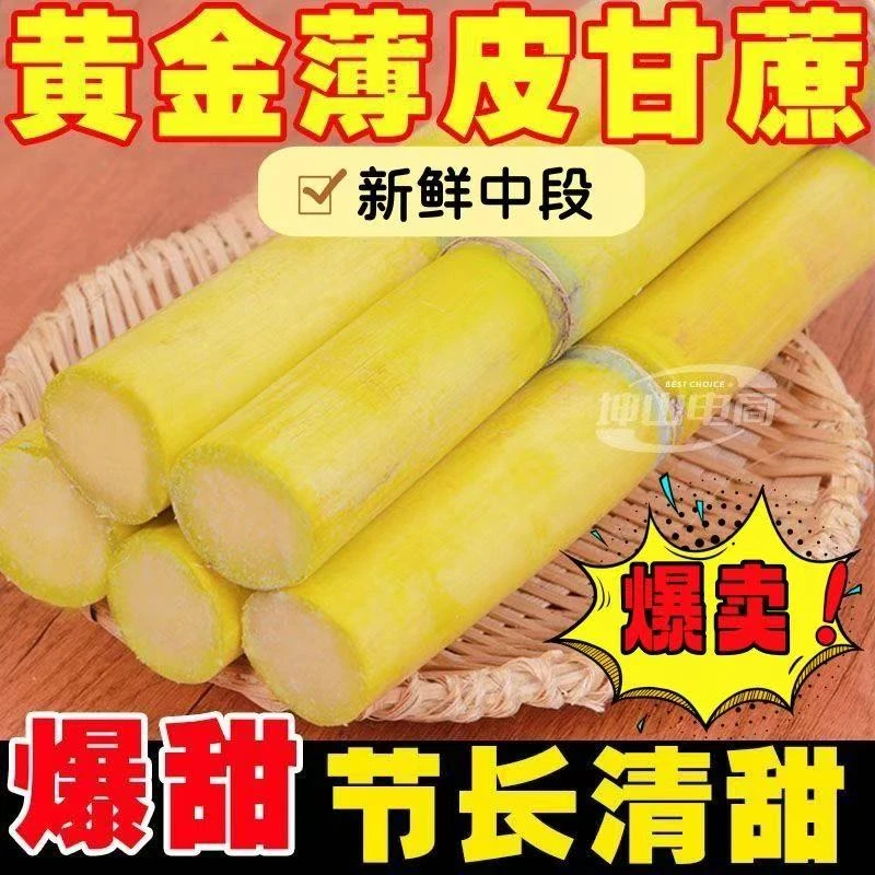 云南黄金甘蔗新鲜砍摘 爆甜多汁