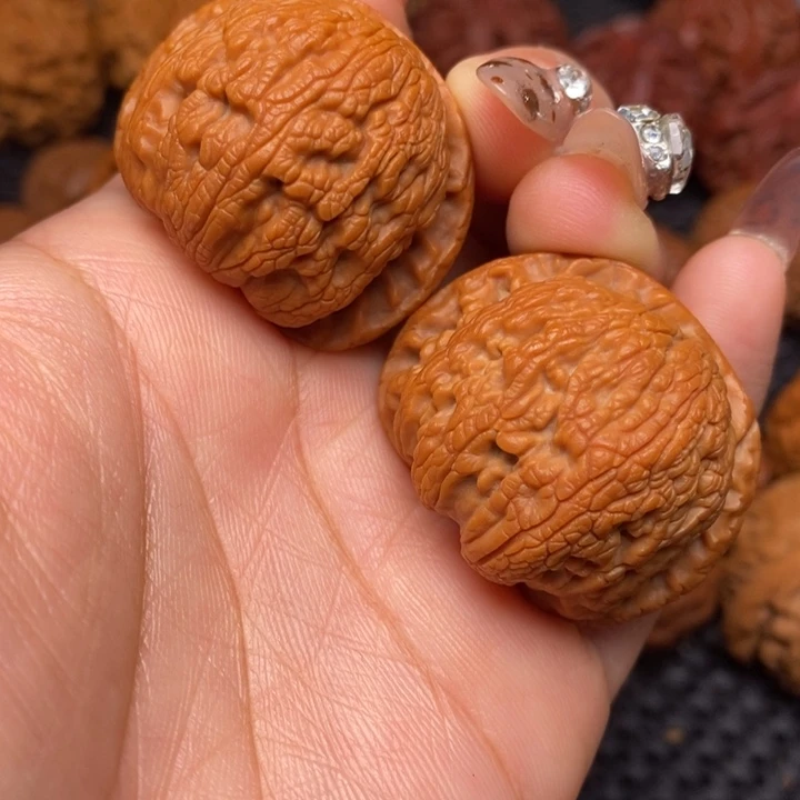 秦岭野生0000000001