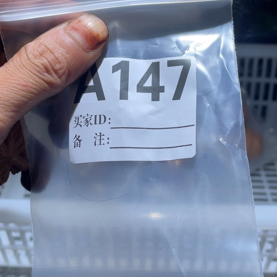 把件文玩核桃a147正磨41