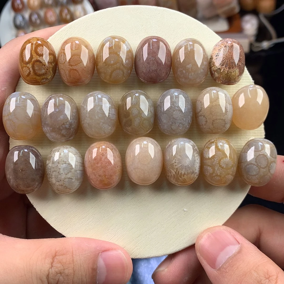 【闪购商品】硅化珊瑚（珊瑚玉）未镶嵌颈饰2号上新龟背单价20一颗