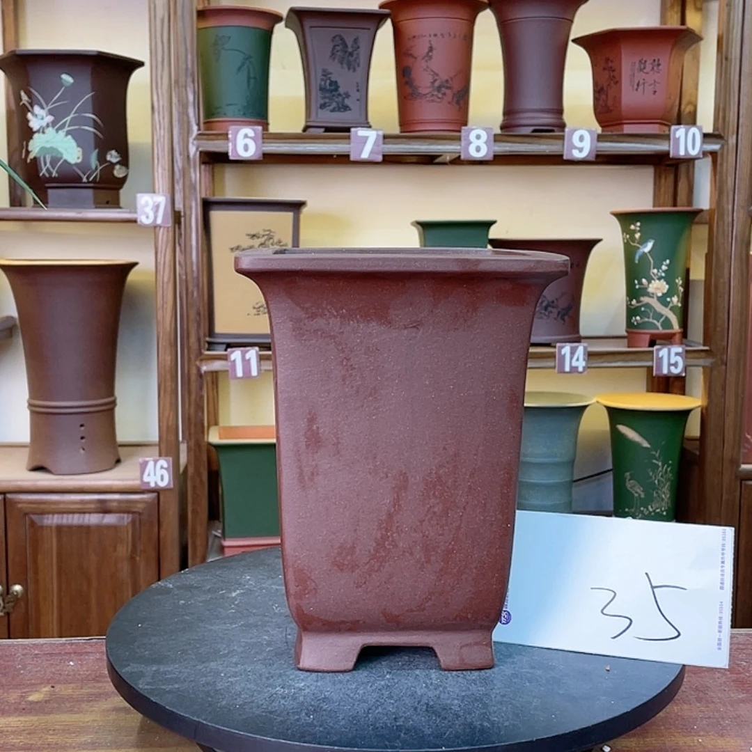 【闪购商品】紫砂花盆兰花74555555655585658