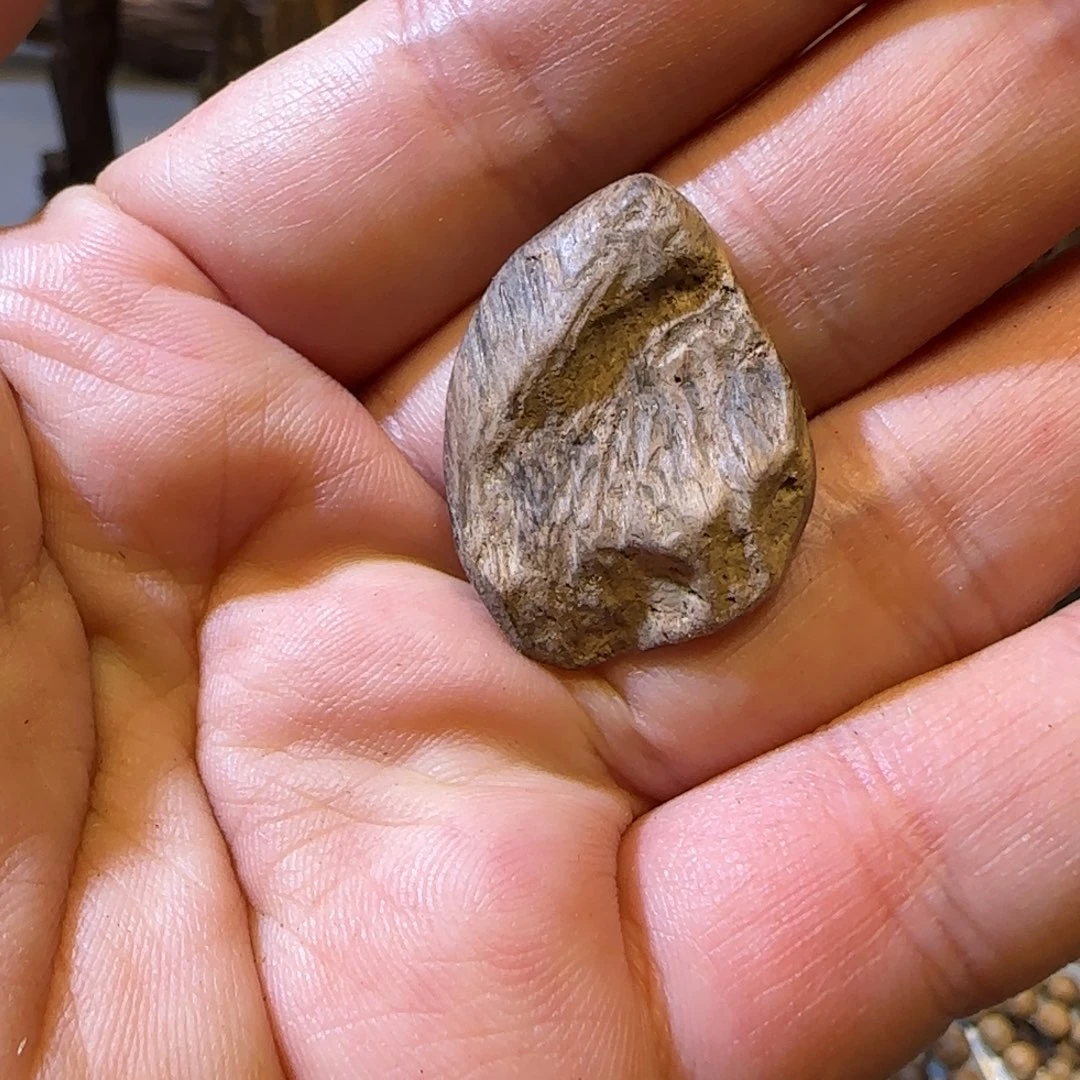 沉香碎屑沉香文莱1克