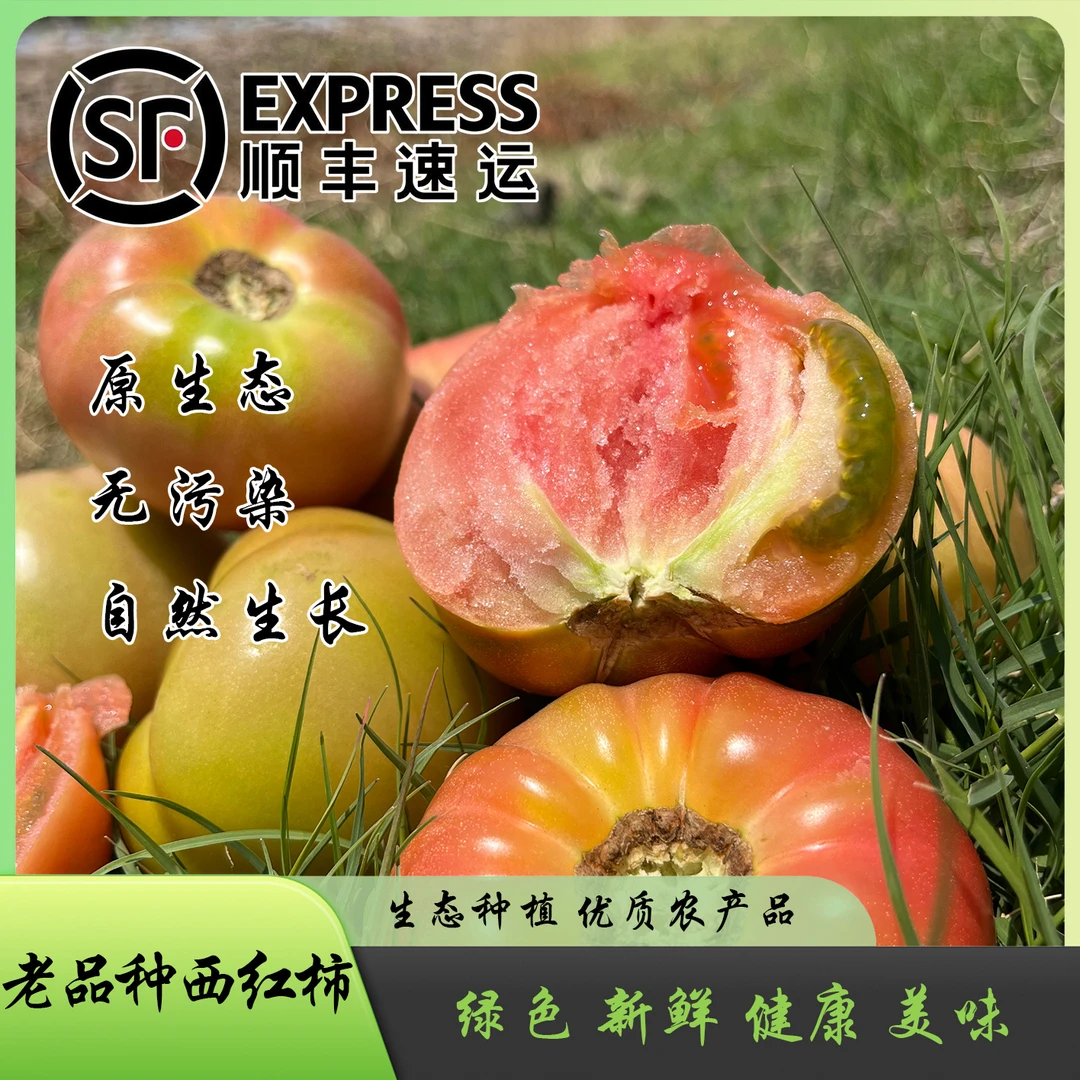 【易小菜精选】老品种西红柿 番茄 自然成熟 沙瓤爆汁 生熟两吃