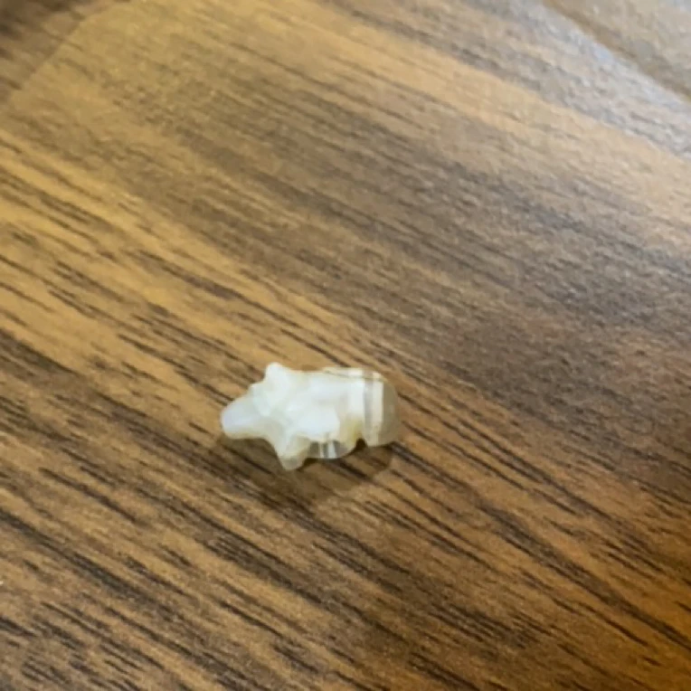 藏地密码，藏式珠子d732