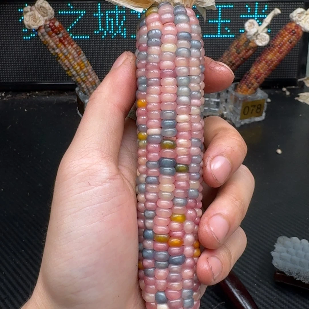 柏香籽/百香籽吊坠米*