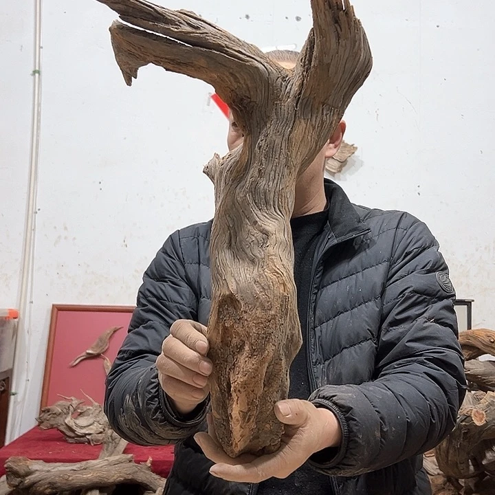 柏木邯****店我们的生活也是如此