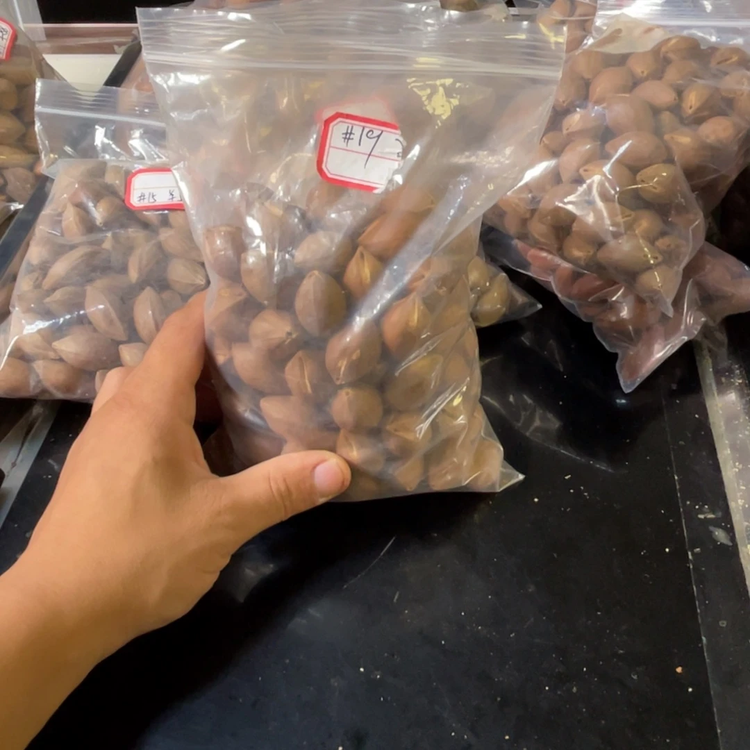 吊坠龙脊菩提宁*。