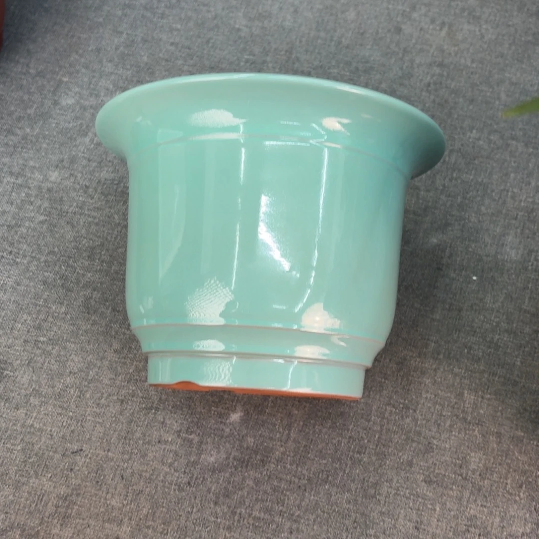 般***若花盆紫砂兰花34646464664659