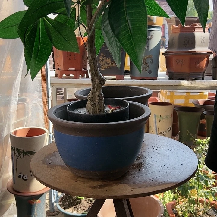 宜兴紫砂25+25蓝色