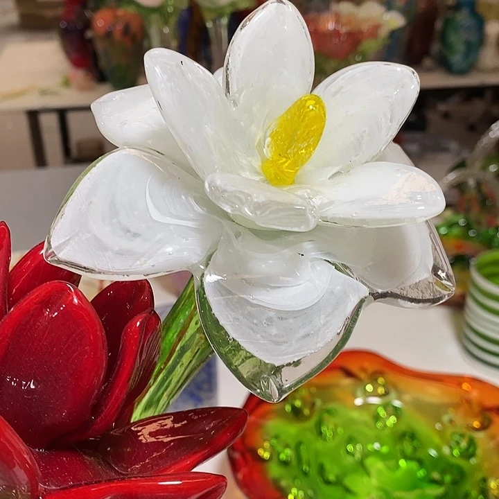 夜光花高45厘米宽12厘米