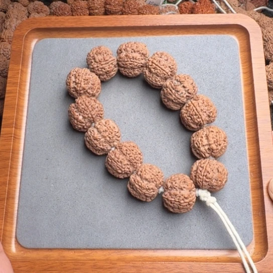 菩提17号尼泊尔大金刚24六瓣梅花