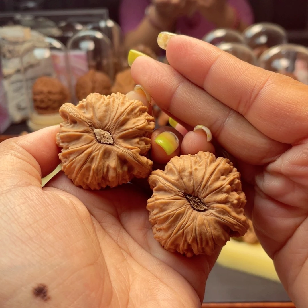 【闪购商品】文玩核桃把件奎*白狮子41