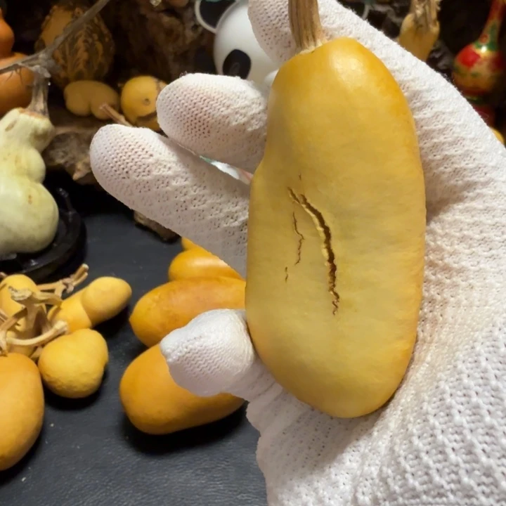 1***道666666666666666666