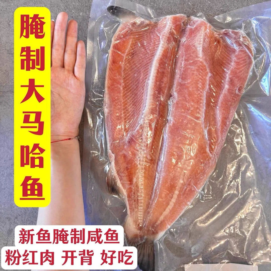 《松鱼》延边特产朝鲜族腌制松鱼海海鱼冷冻水产松鱼海水鱼