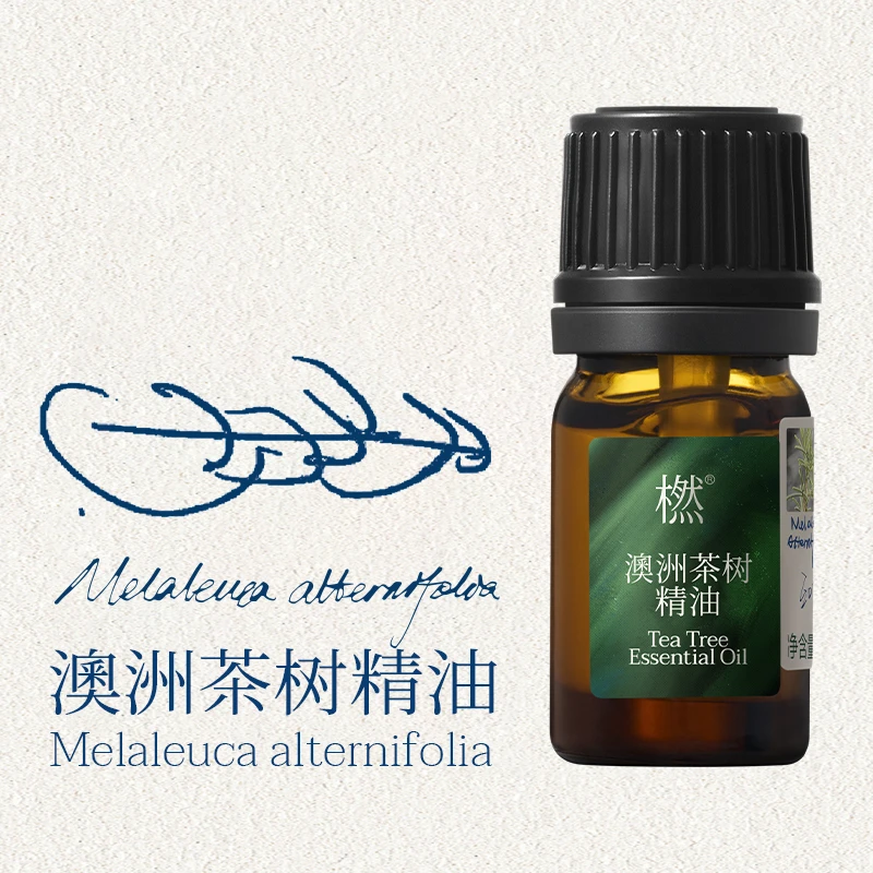 橪  澳洲茶树精油  5ml