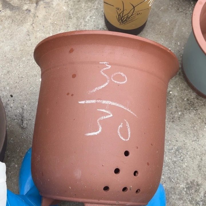 紫砂花盆紫砂的花