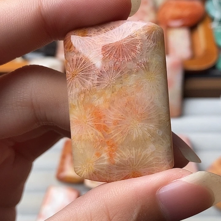 刘***刘硅化玉未镶嵌颈饰