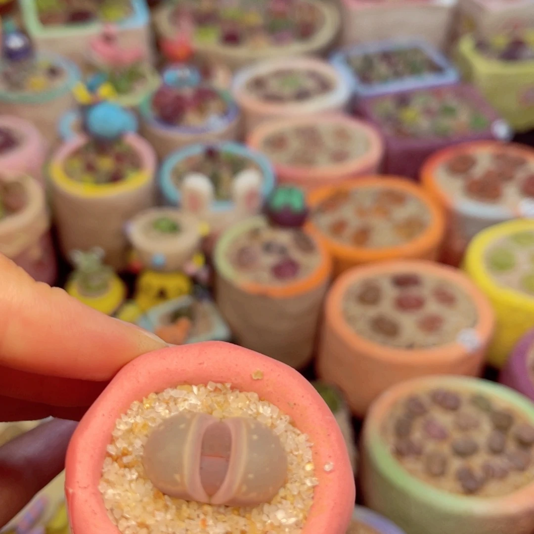 517. 67896566787666788