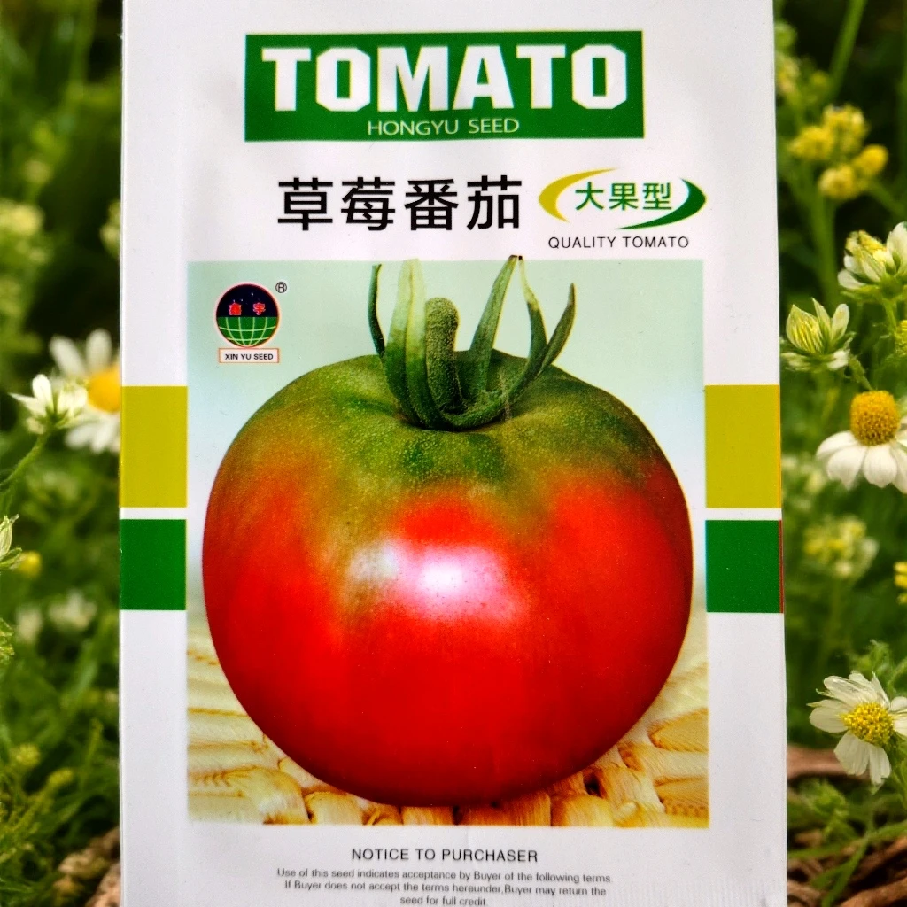 草莓柿子籽（100粒左右）