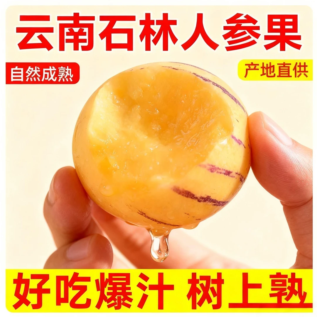 云南石林树上熟果黄肉圆果新鲜多汁清甜当季水果