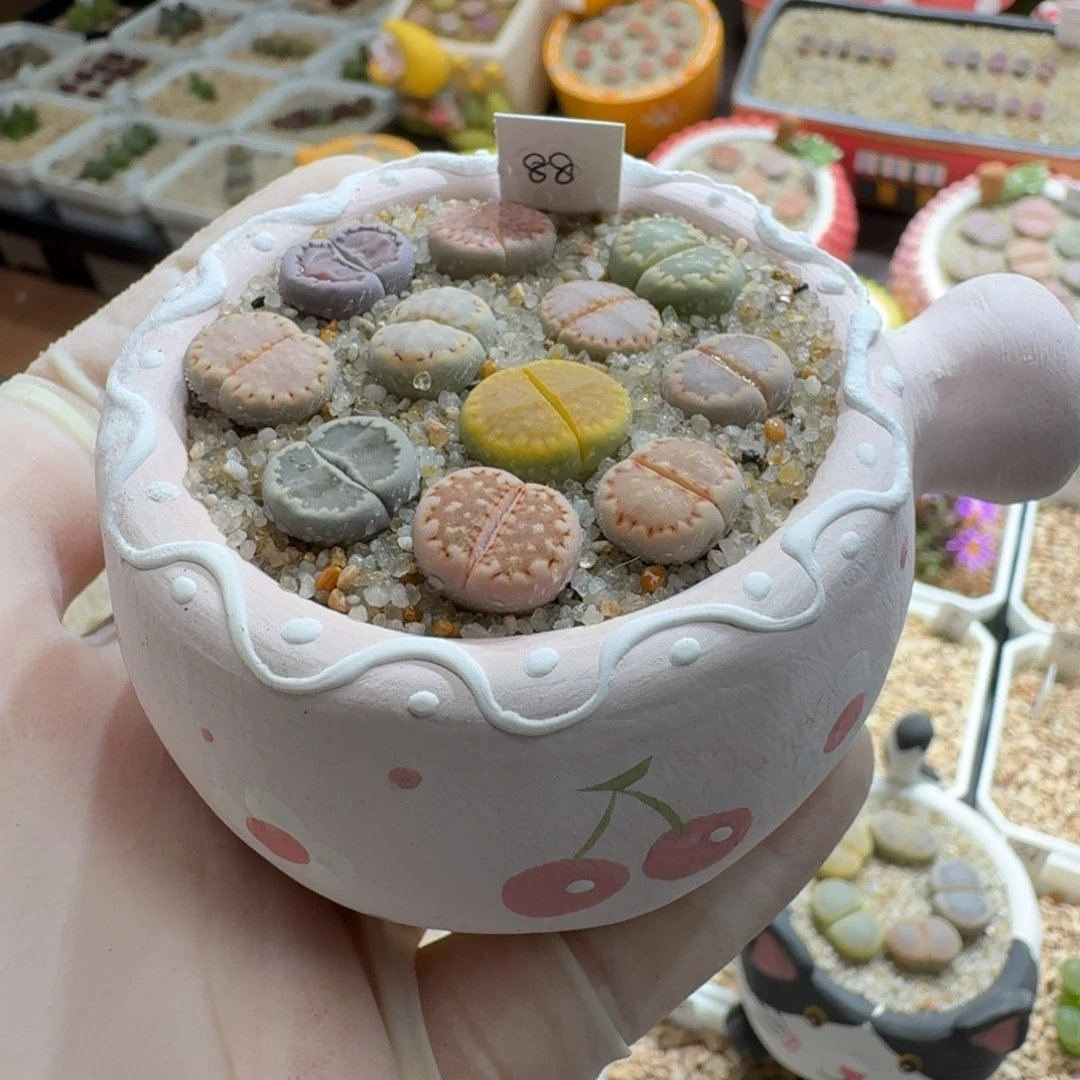 0917-026连盆带花饼干彩套