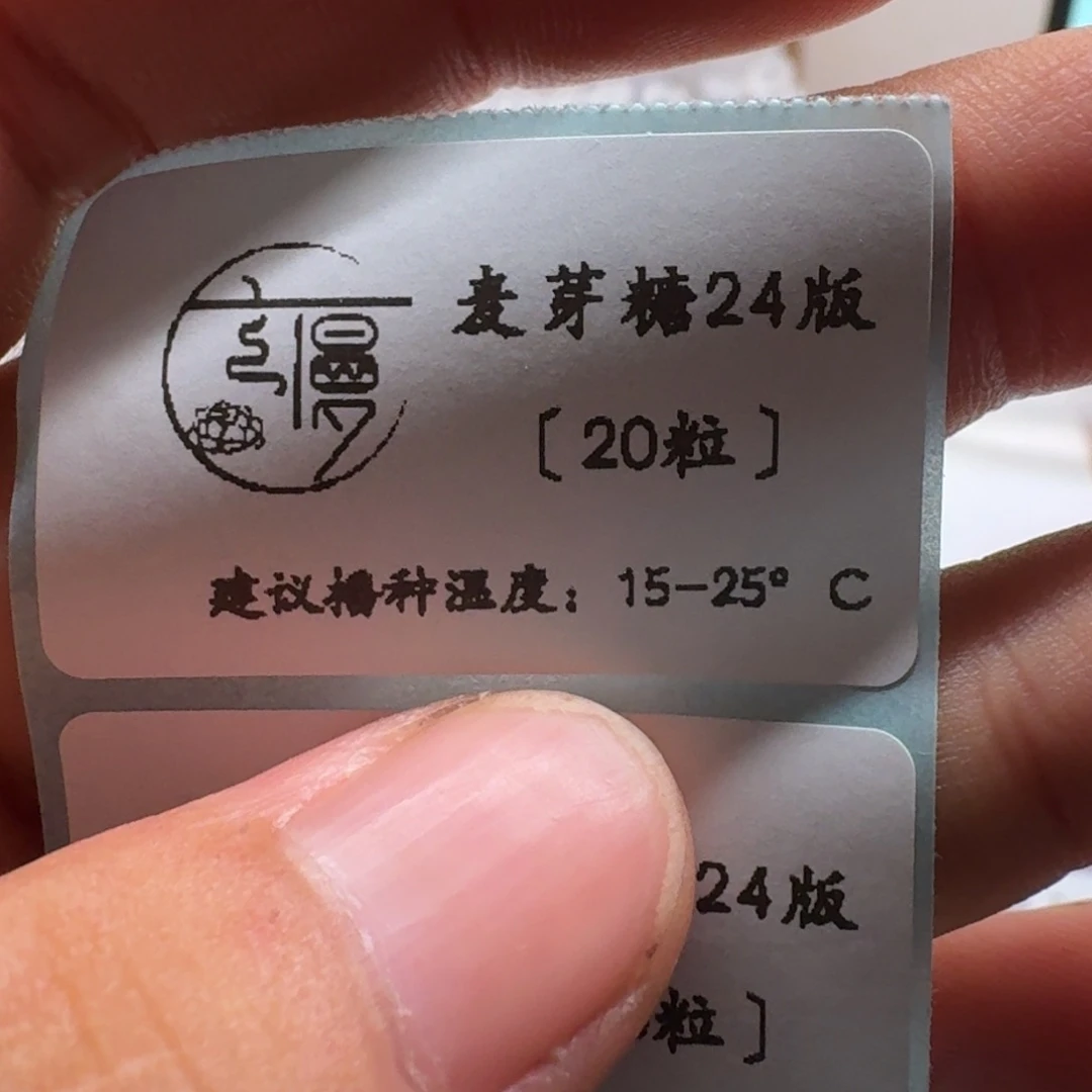 云慢2025新种子糖珍系24宝麦芽20粒