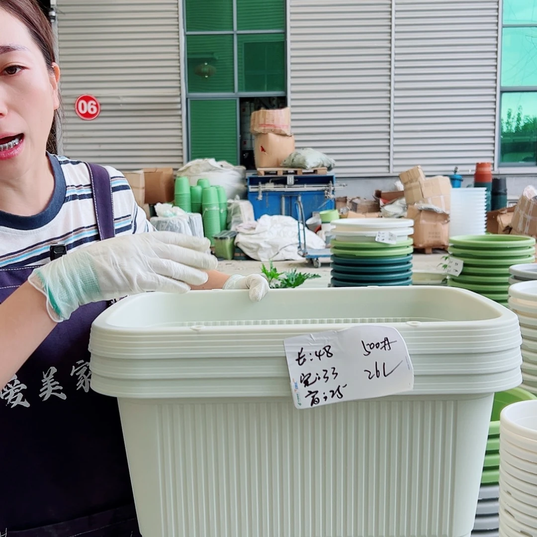 菜盆500#米白3个无托
