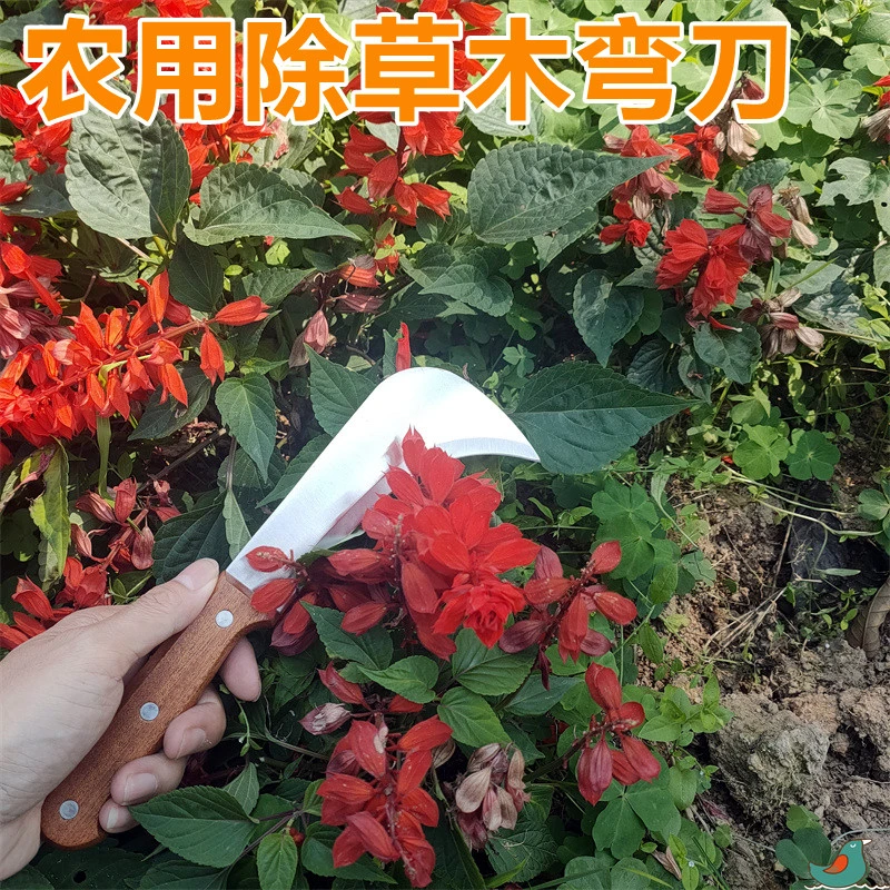 加厚弯头不锈钢加长厨房锋利水果刀瓜果商用刀具多用家用