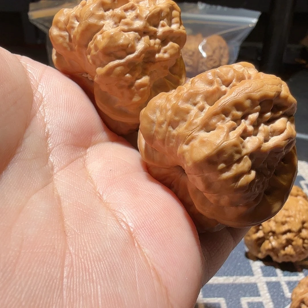 文玩核桃把件金蟾