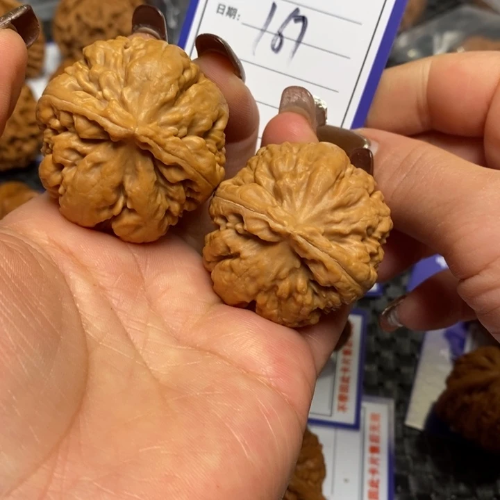 把件文玩核桃167霸王龙40