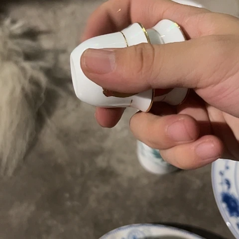 陶瓷果果就被两个陶瓷