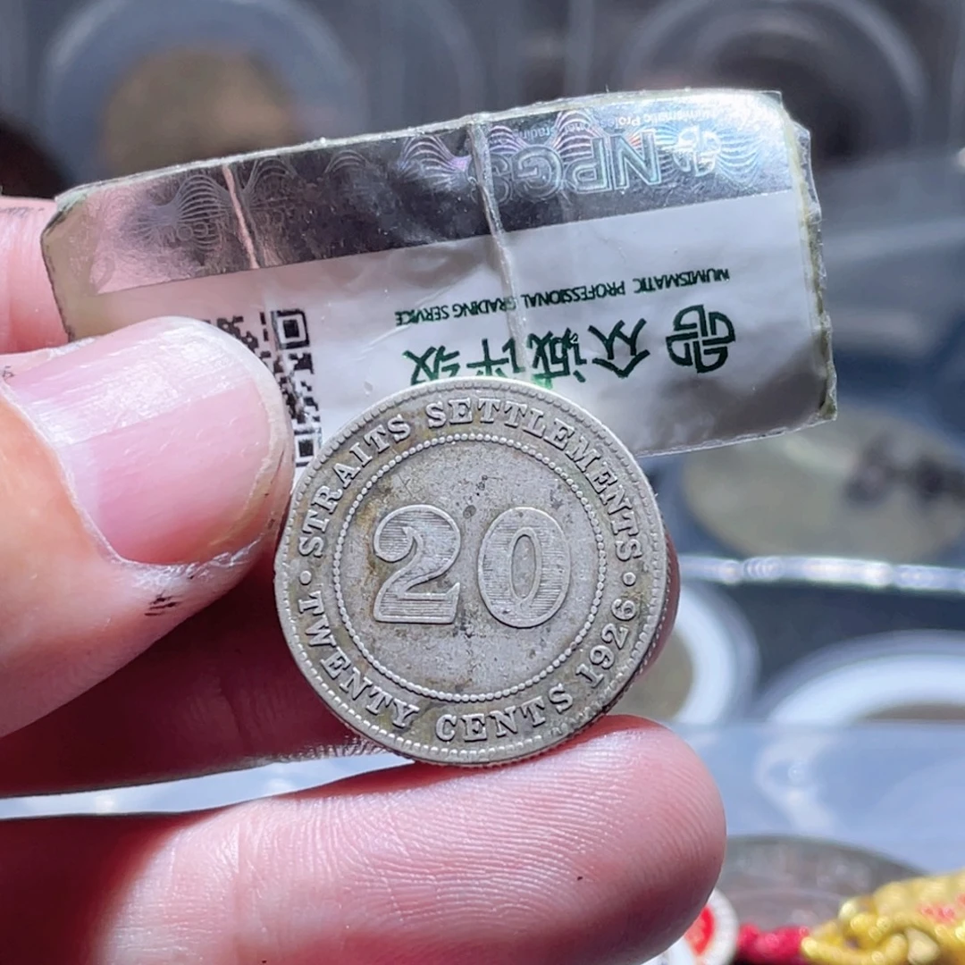 铜通古博今250927范范13