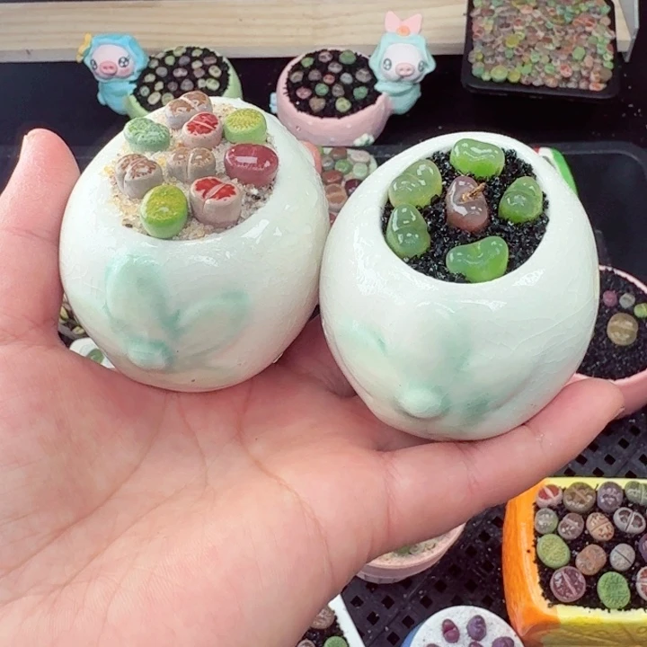 664零下地区记得拍保温箱满18包邮