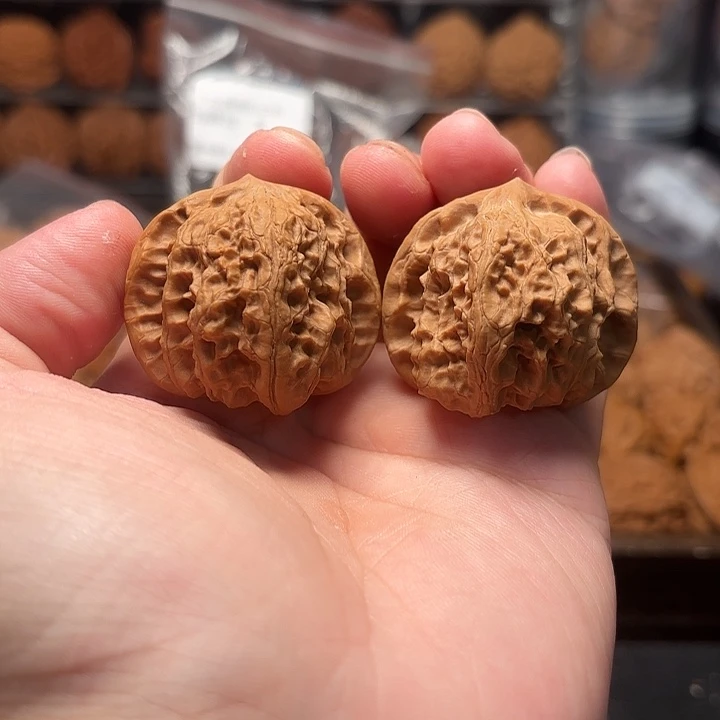 1文玩核桃龙门马蹄39-511